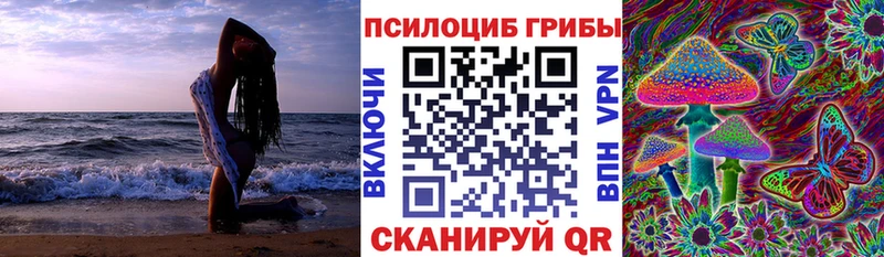 Псилоцибиновые грибы GOLDEN TEACHER  купить наркоту  omg ССЫЛКА  Большой Камень 